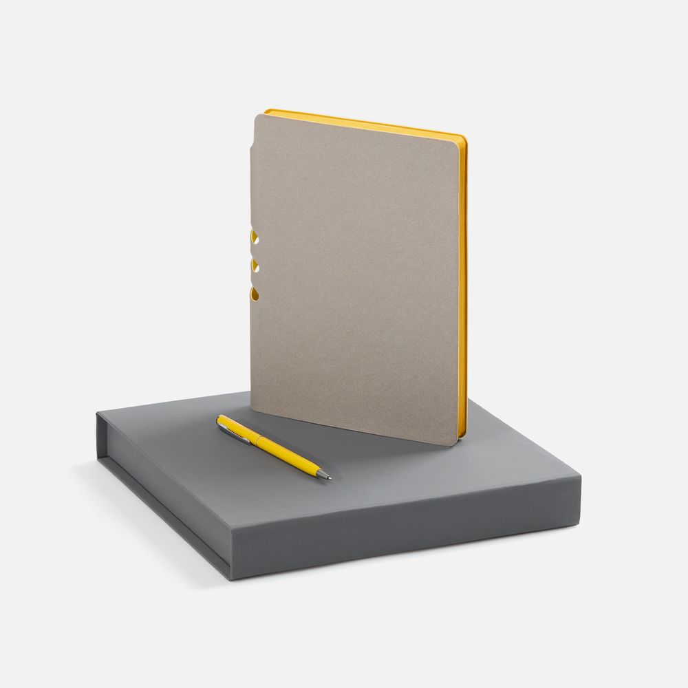 картинка Набор Flexpen Grey, желтый от магазина