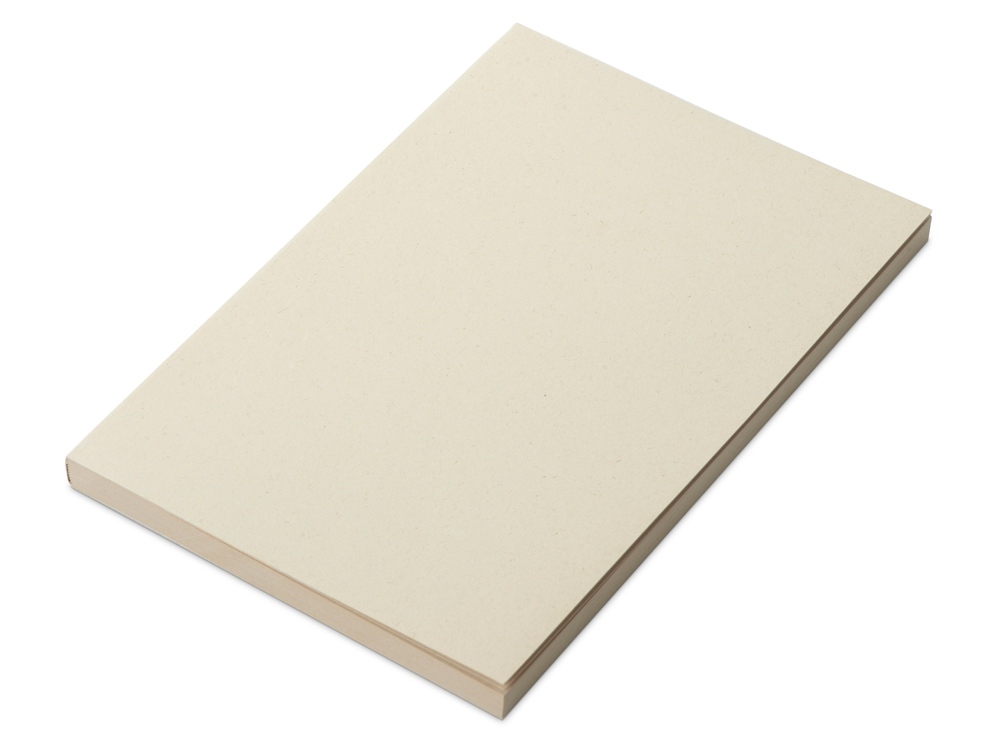 картинка Блокнот А5 из переработанного тростника Adiantum от магазина