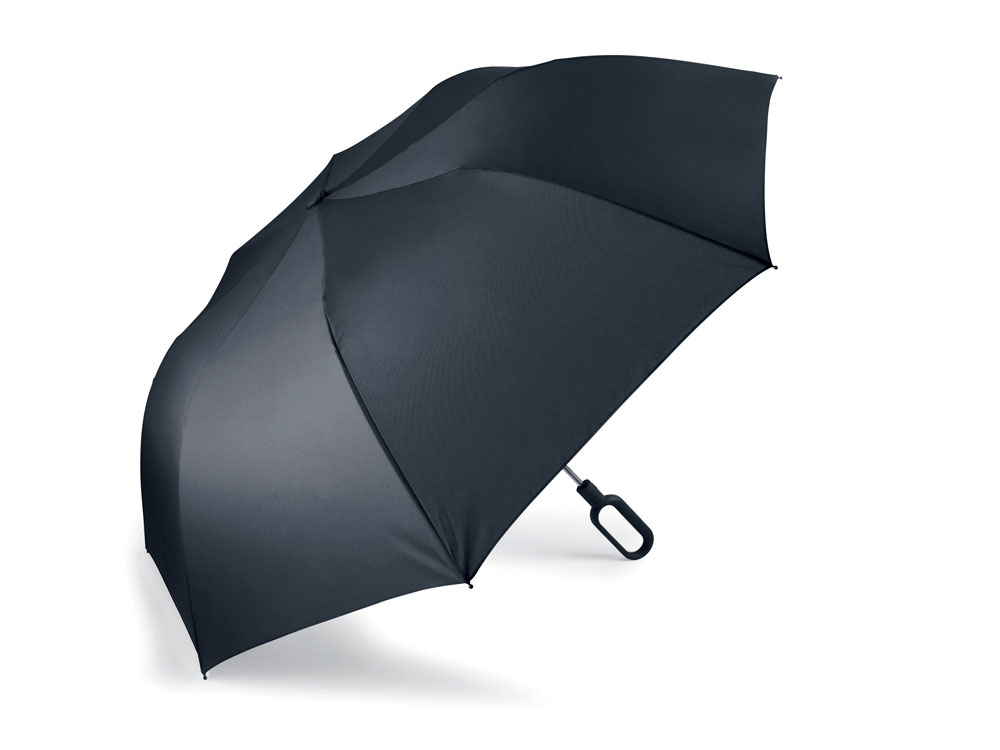 картинка Зонт складной Mini Hook от магазина