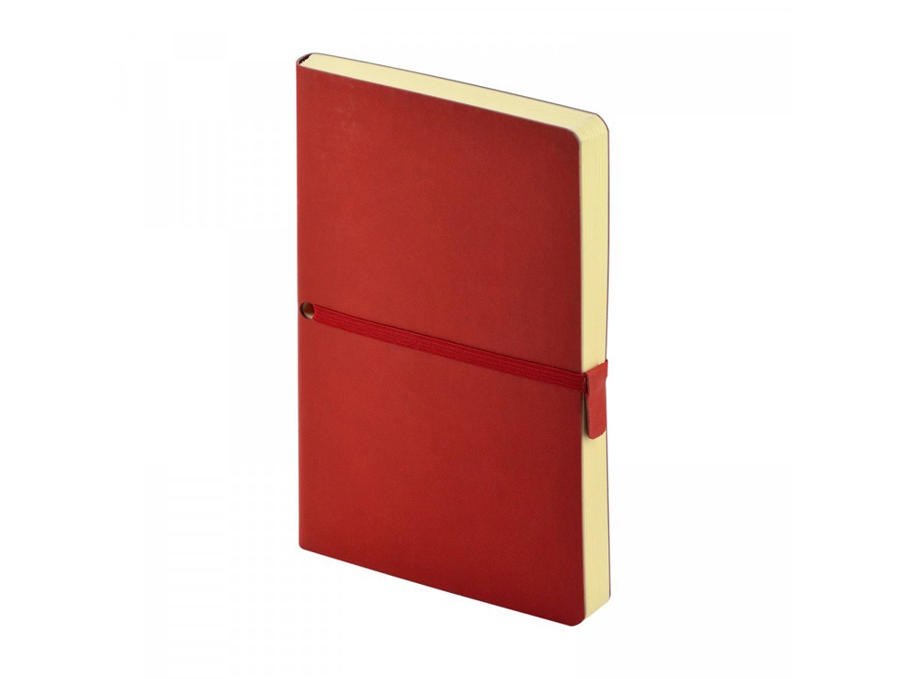 картинка Ежедневник недатированный А5 Tokyo от магазина