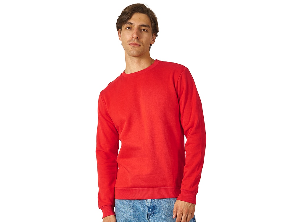 картинка Толстовка Rome мужская от магазина