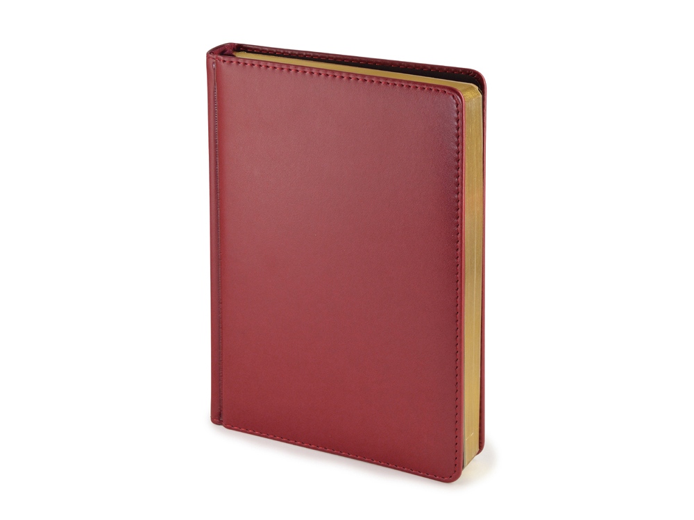 картинка Ежедневник недатированный А5 Parliament от магазина