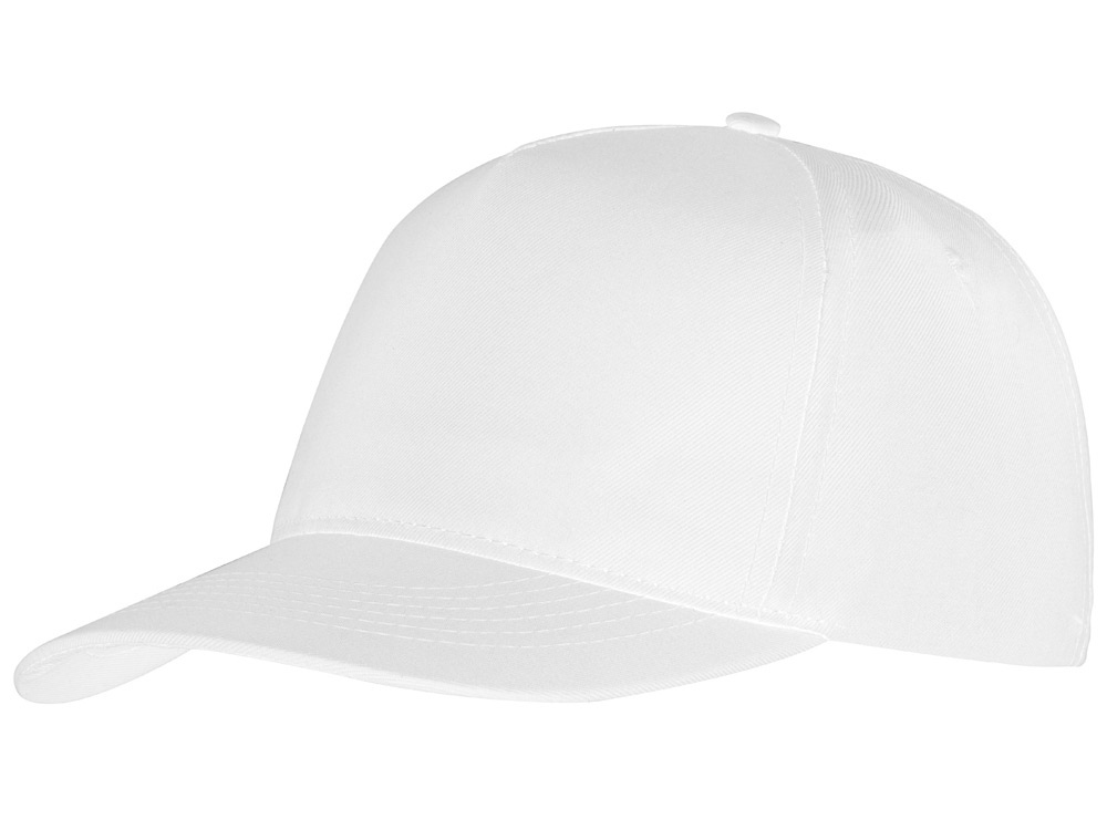 картинка Бейсболка Poly от магазина