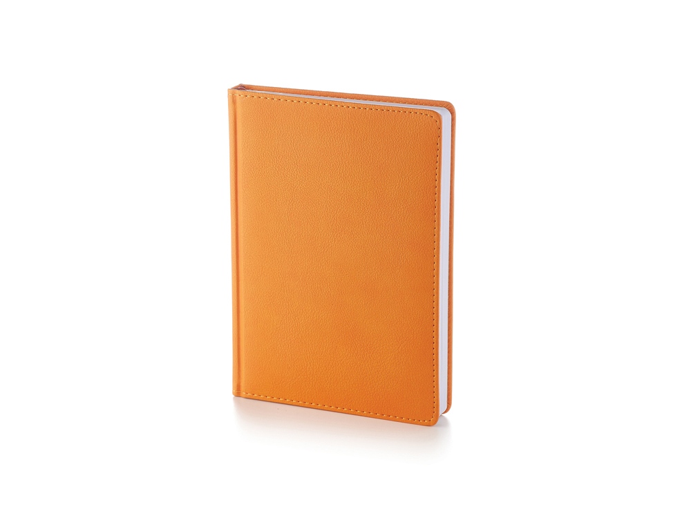 картинка Ежедневник А5 недатированный Leader от магазина