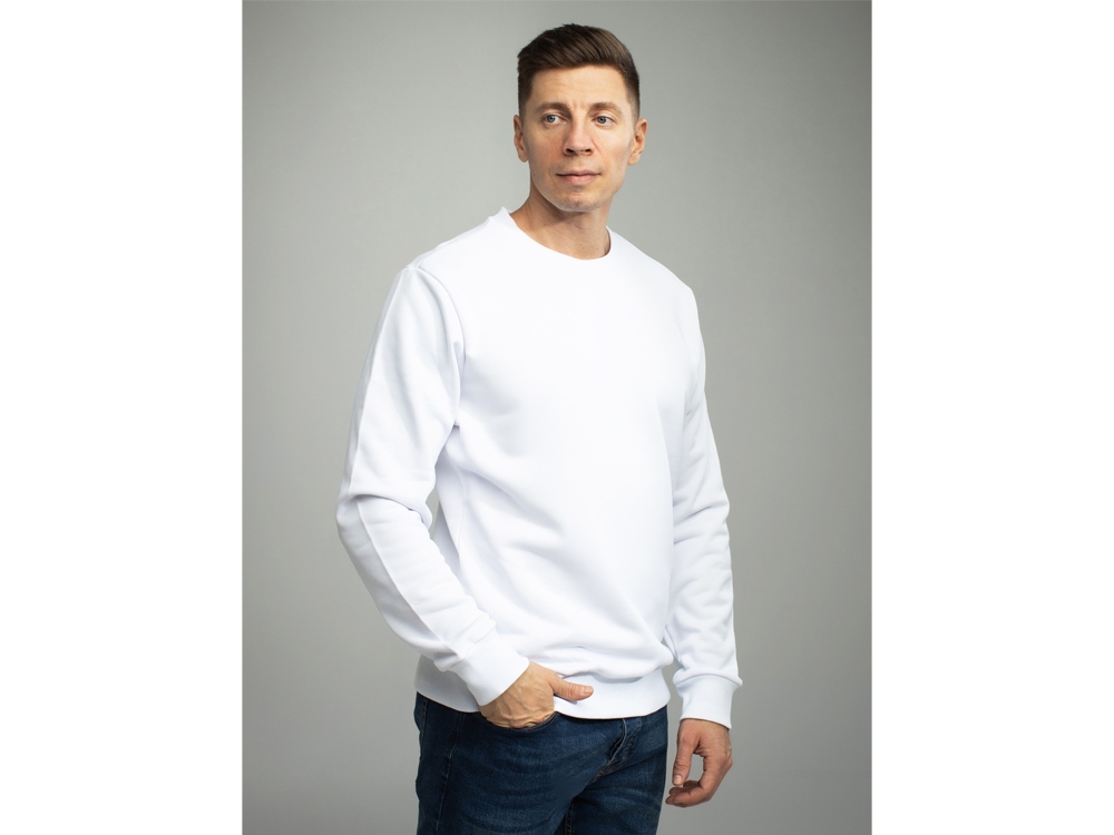 картинка Свитшот для сублимации Evolution унисекс от магазина