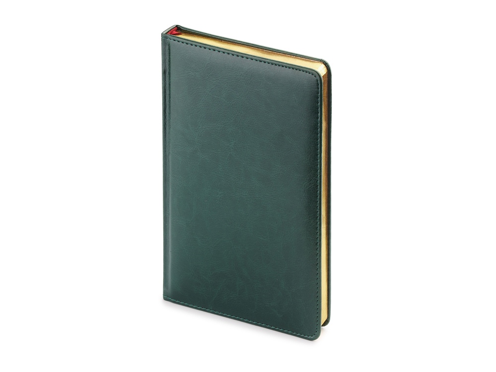 картинка Ежедневник недатированный А4 Sidney Nebraska с золотым срезом от магазина