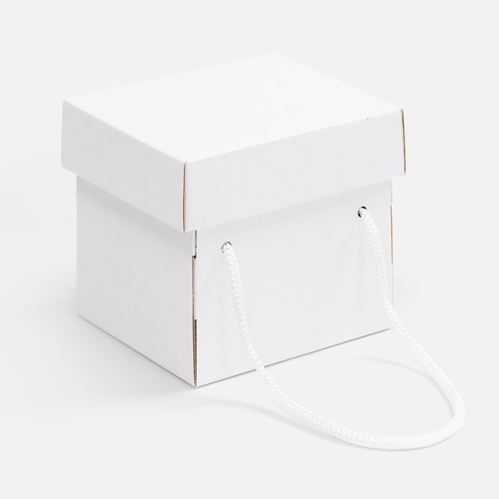 картинка Коробка Kitbag, ver.2, белая от магазина