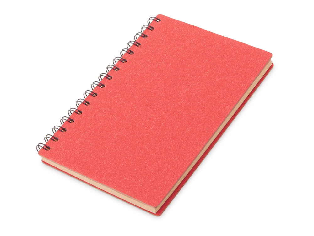 картинка Блокнот А5 на спирали Mania от магазина