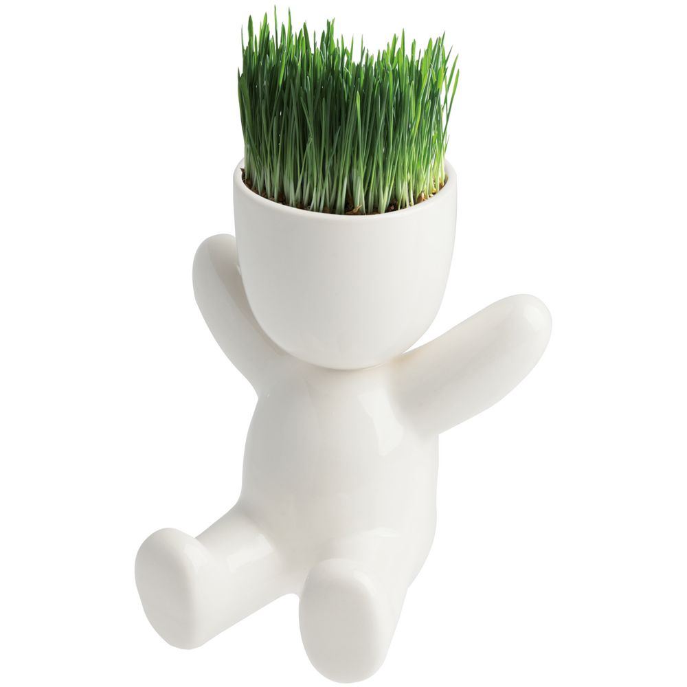 картинка Набор для выращивания Funky Kid от магазина