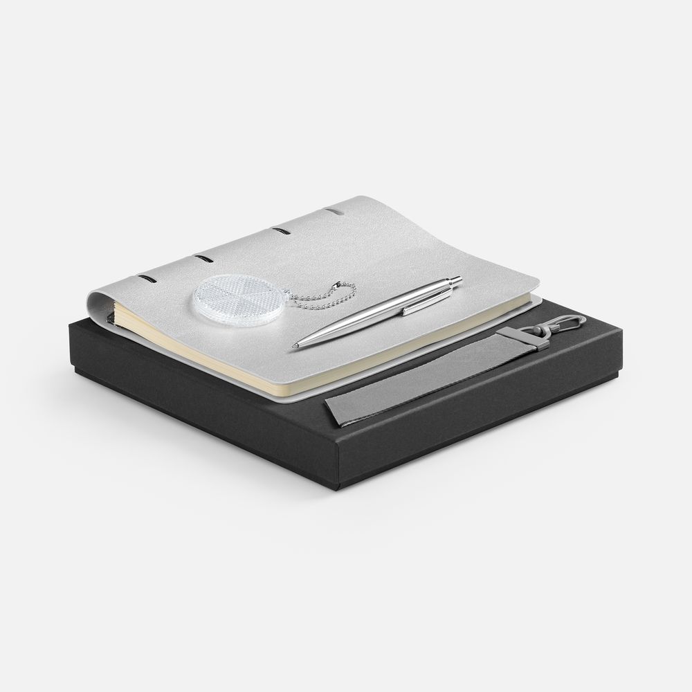 картинка Набор Ringo, серебристый от магазина