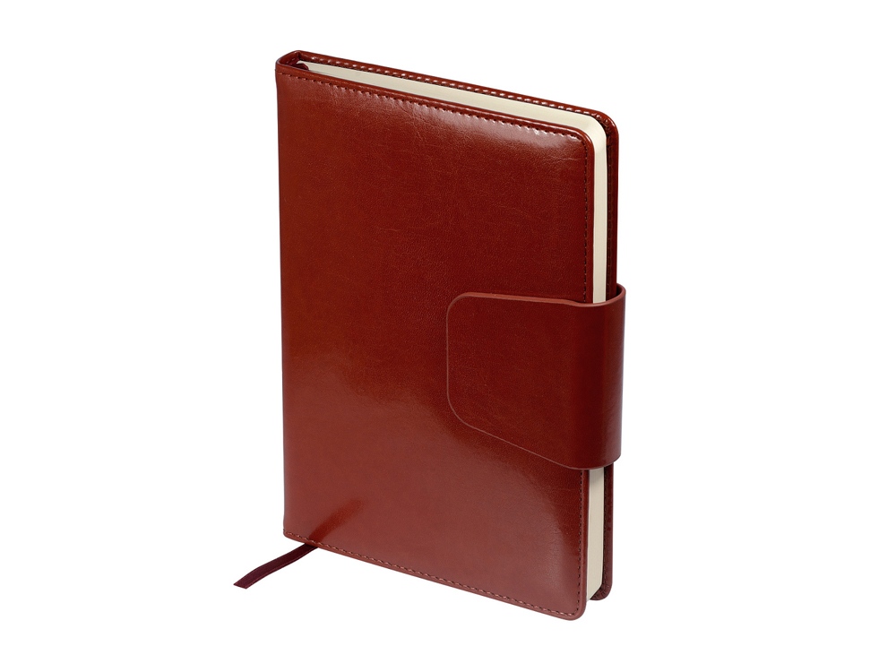 картинка Ежедневник недатированный А5 Prestige от магазина