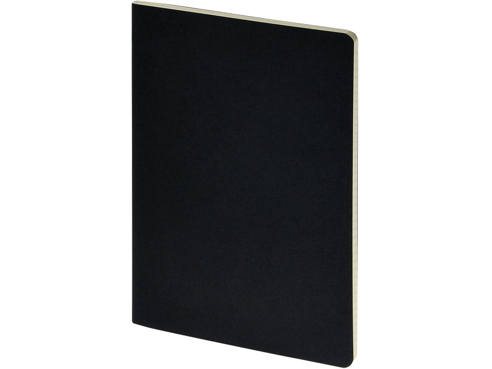 картинка Бизнес-тетрадь А4 Pragmatic от магазина