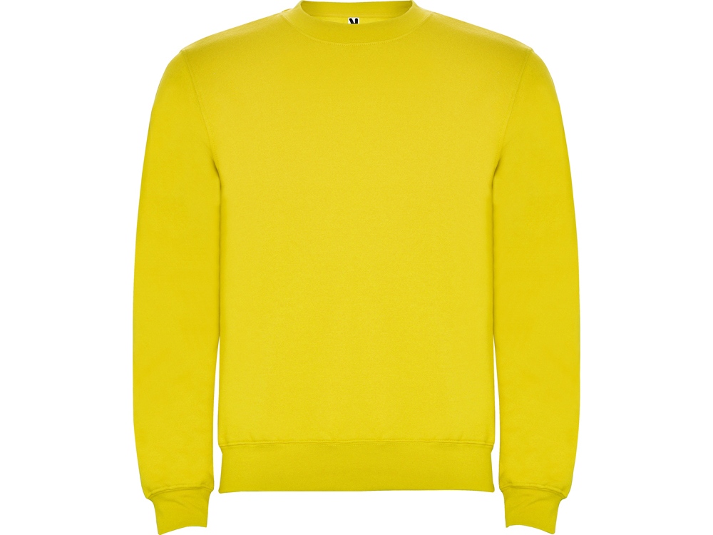 картинка Свитшот с начесом Clasica унисекс от магазина