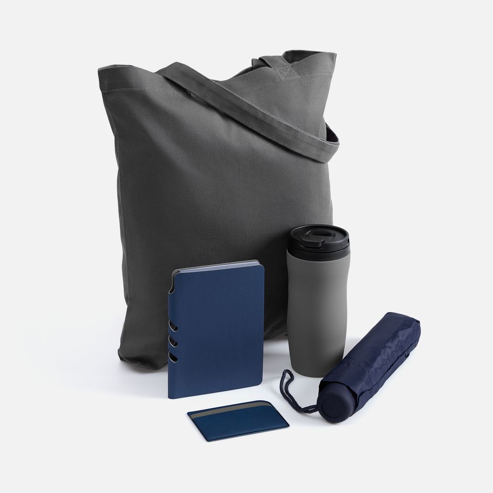 картинка Набор Dual Umbrella, синий от магазина