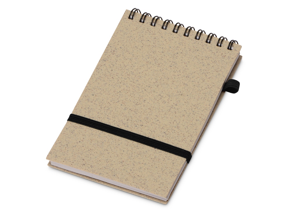 картинка Блокнот А5 Toledo M с обложкой из пшеницы и пластика от магазина
