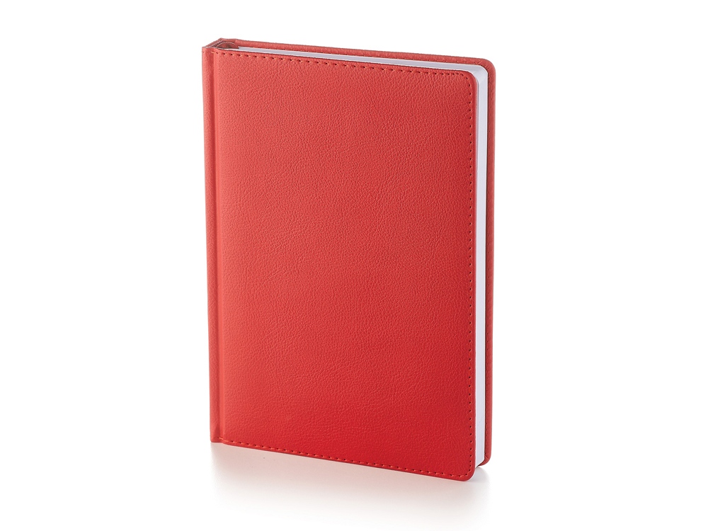 картинка Ежедневник А5 датированный Leader на 2025 год от магазина