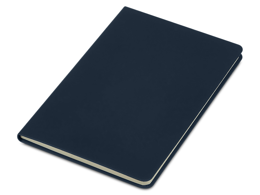 картинка Блокнот в твердой обложке A5 Виспи в клетку от магазина