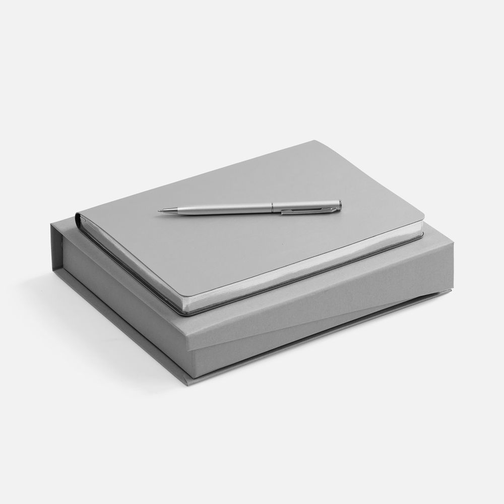 картинка Набор Nebraska Flex, серебристый от магазина