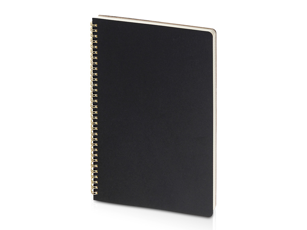 картинка Бизнес-тетрадь А4 Pragmatic от магазина