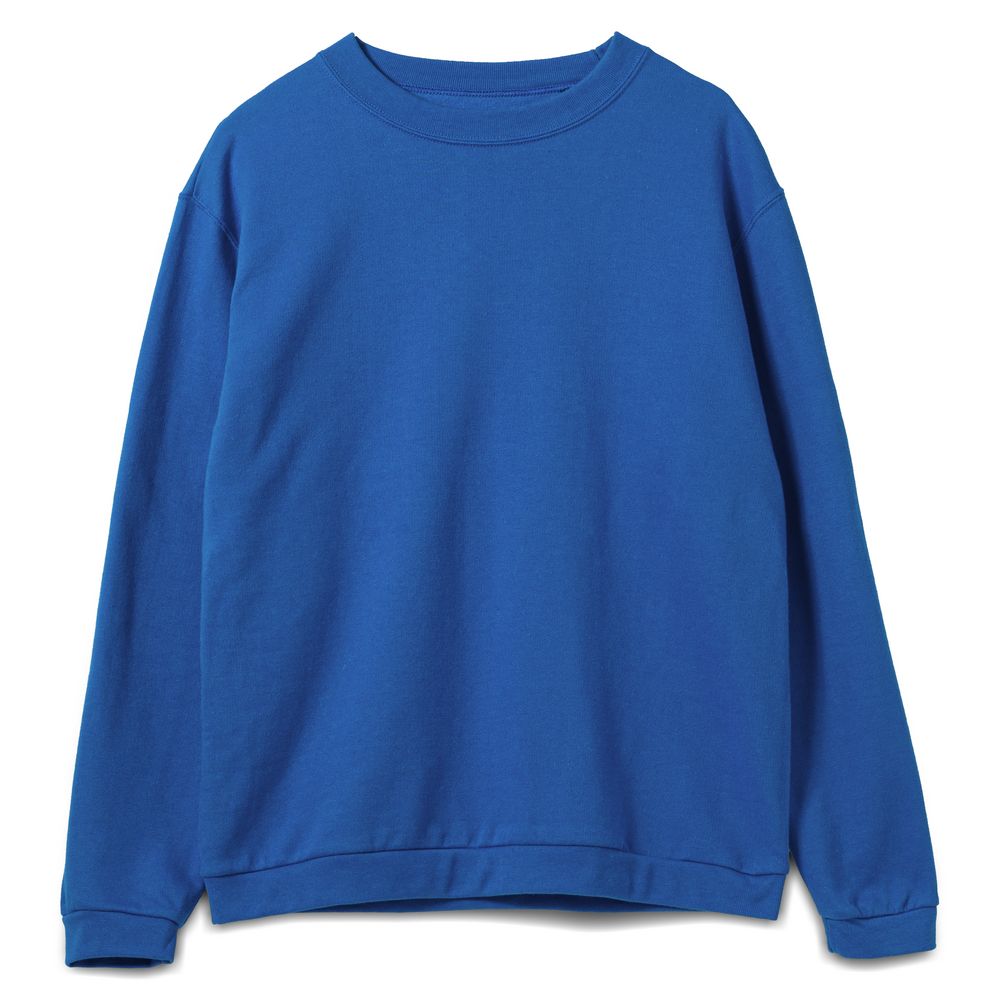 картинка Толстовка Spider 260, ярко-синяя от магазина